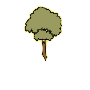 bfbg_tree